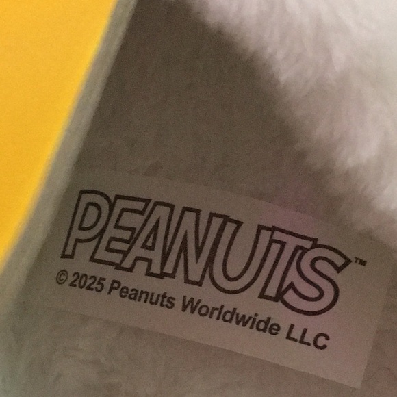 Peanuts Cozy White Slippers with Pumpkin and Black Details - Picture 5 of 5